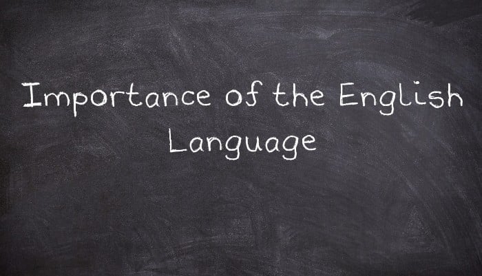 Importance of the English Language