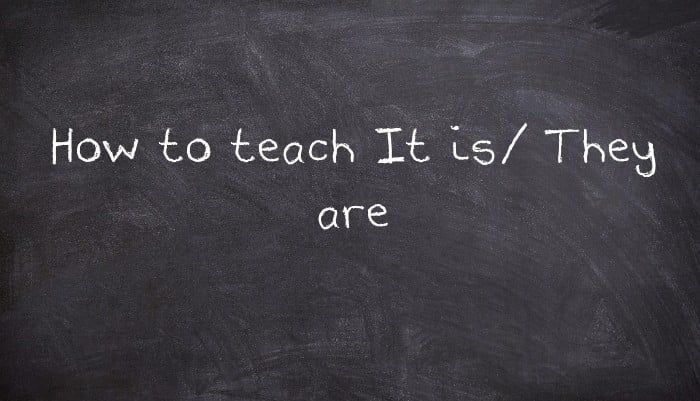 How to teach It is/ They are
