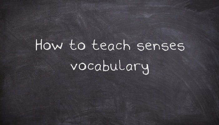 How to teach senses vocabulary